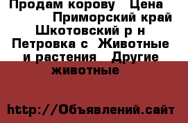 Продам корову › Цена ­ 60 000 - Приморский край, Шкотовский р-н, Петровка с. Животные и растения » Другие животные   
